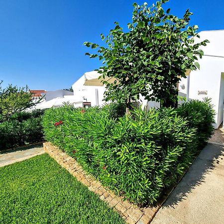 Ktima Amitsa Studios & Apartments Sarti Exterior foto