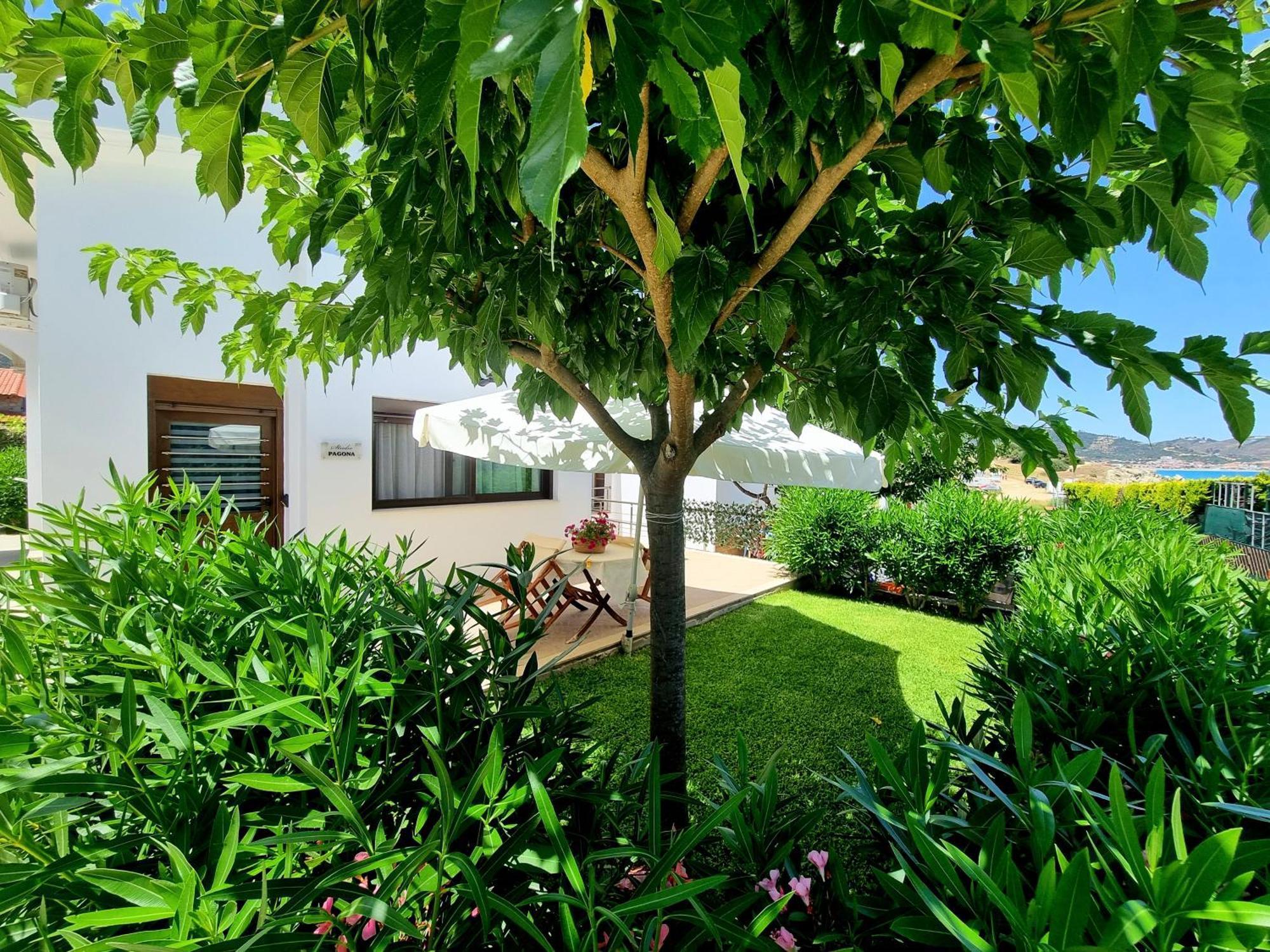 Ktima Amitsa Studios & Apartments Sarti Exterior foto