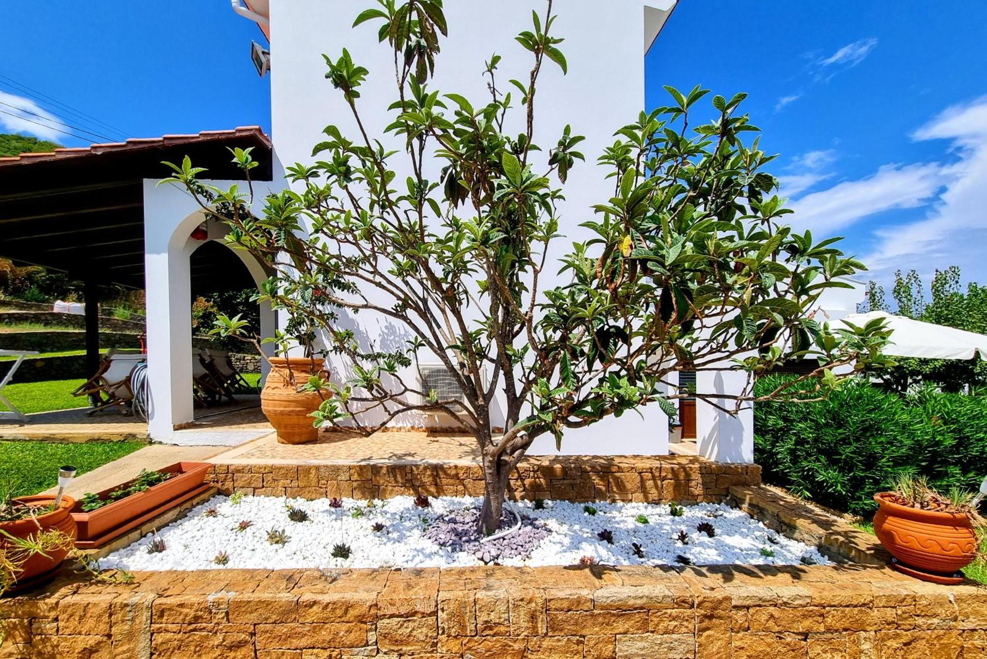 Ktima Amitsa Studios & Apartments Sarti Exterior foto