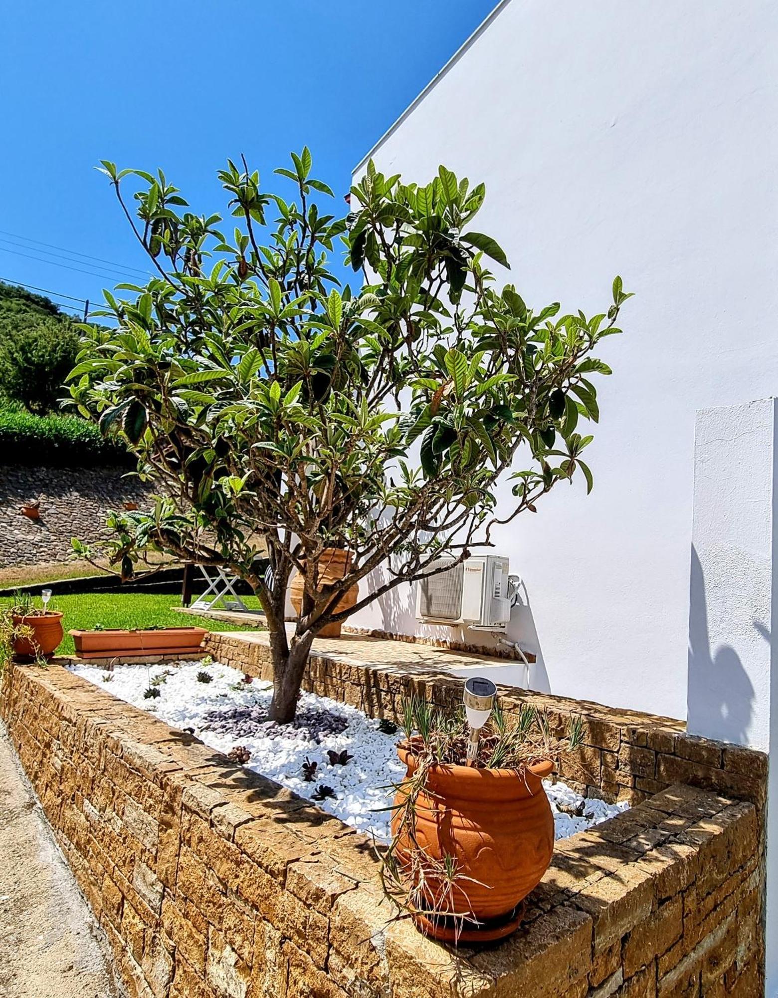 Ktima Amitsa Studios & Apartments Sarti Exterior foto