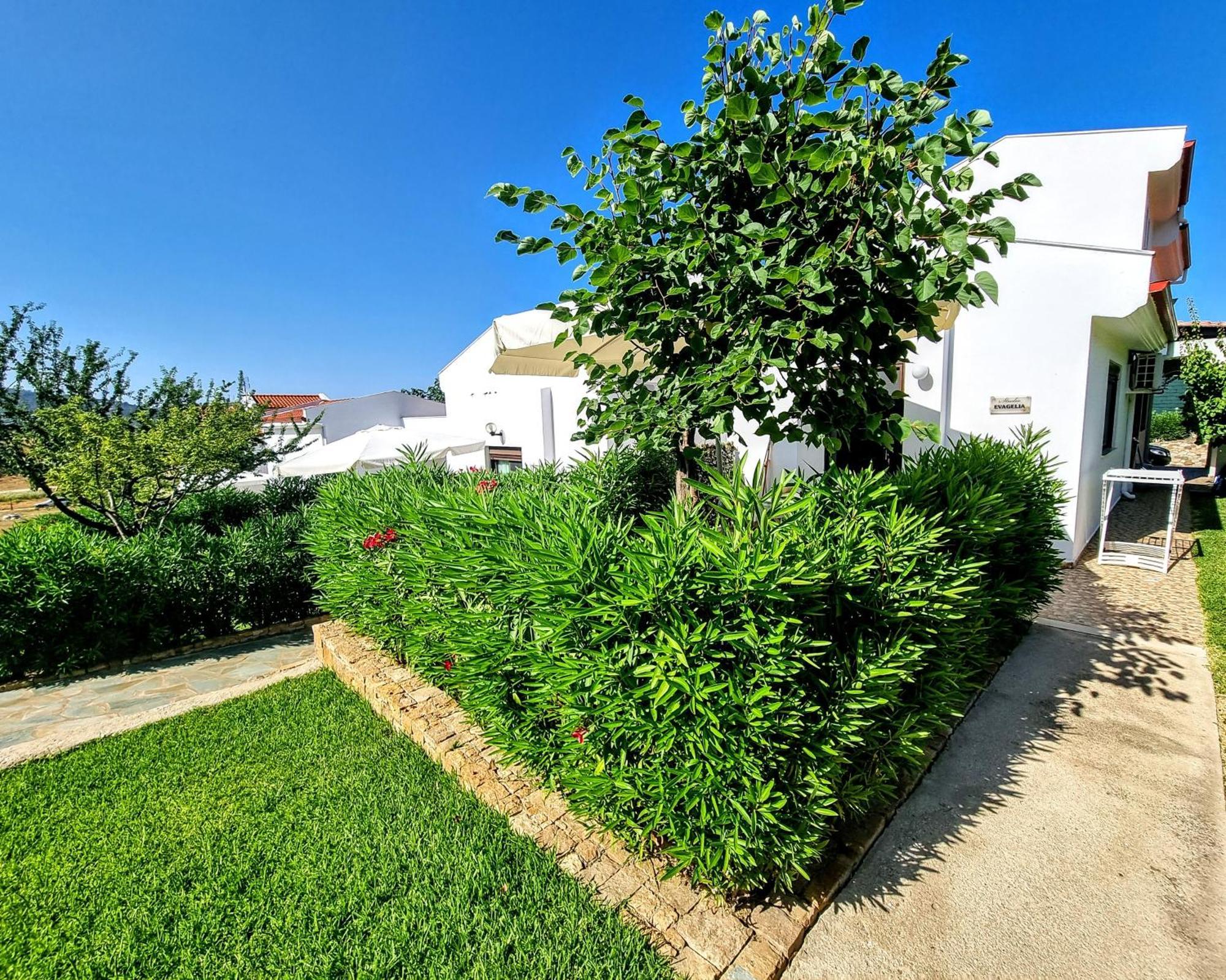Ktima Amitsa Studios & Apartments Sarti Exterior foto
