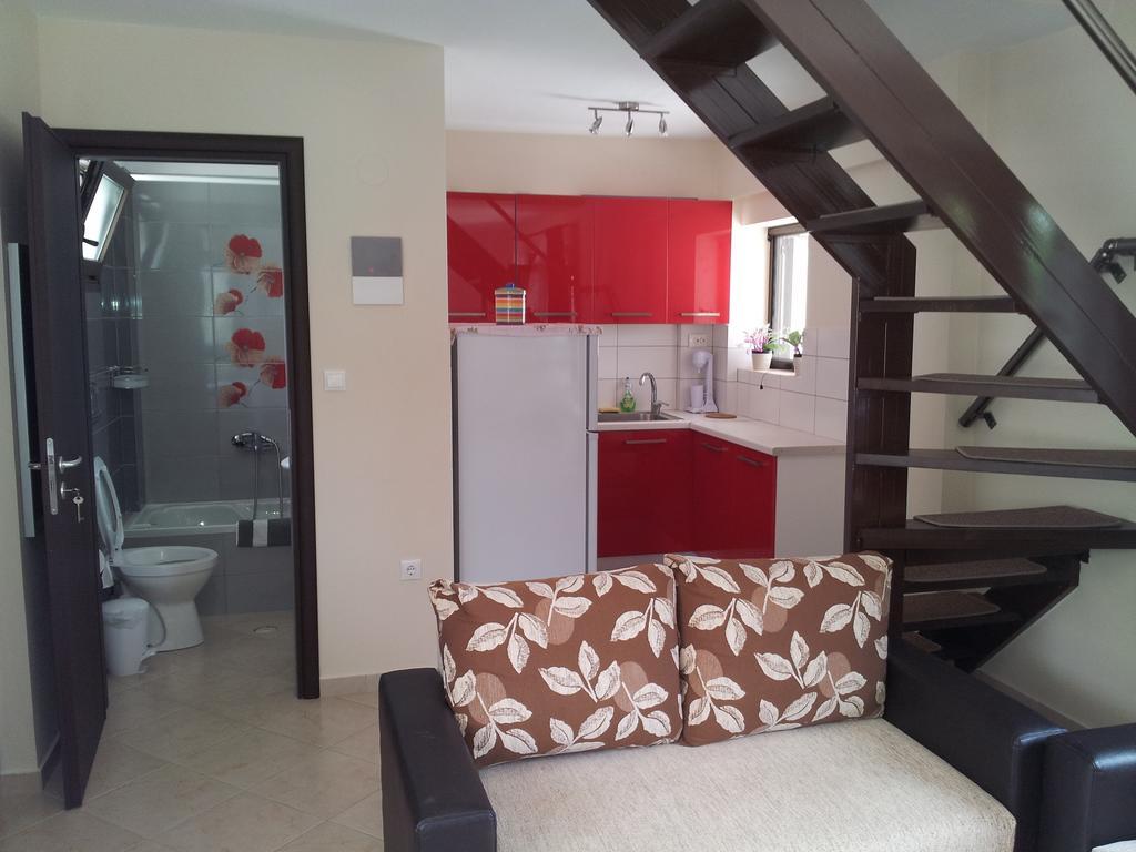 Ktima Amitsa Studios & Apartments Sarti Cameră foto